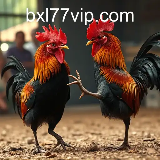 Security and Trust bxl77.com - International Licenses and Certifications